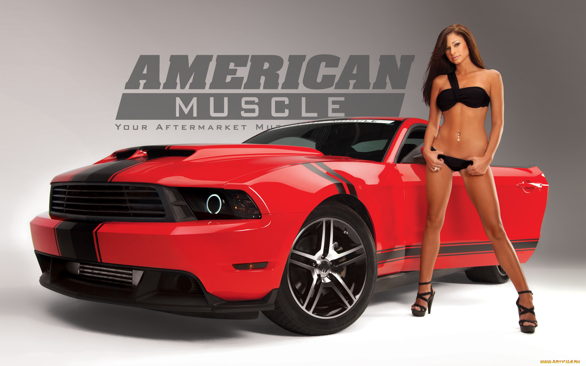 , -  , mustang